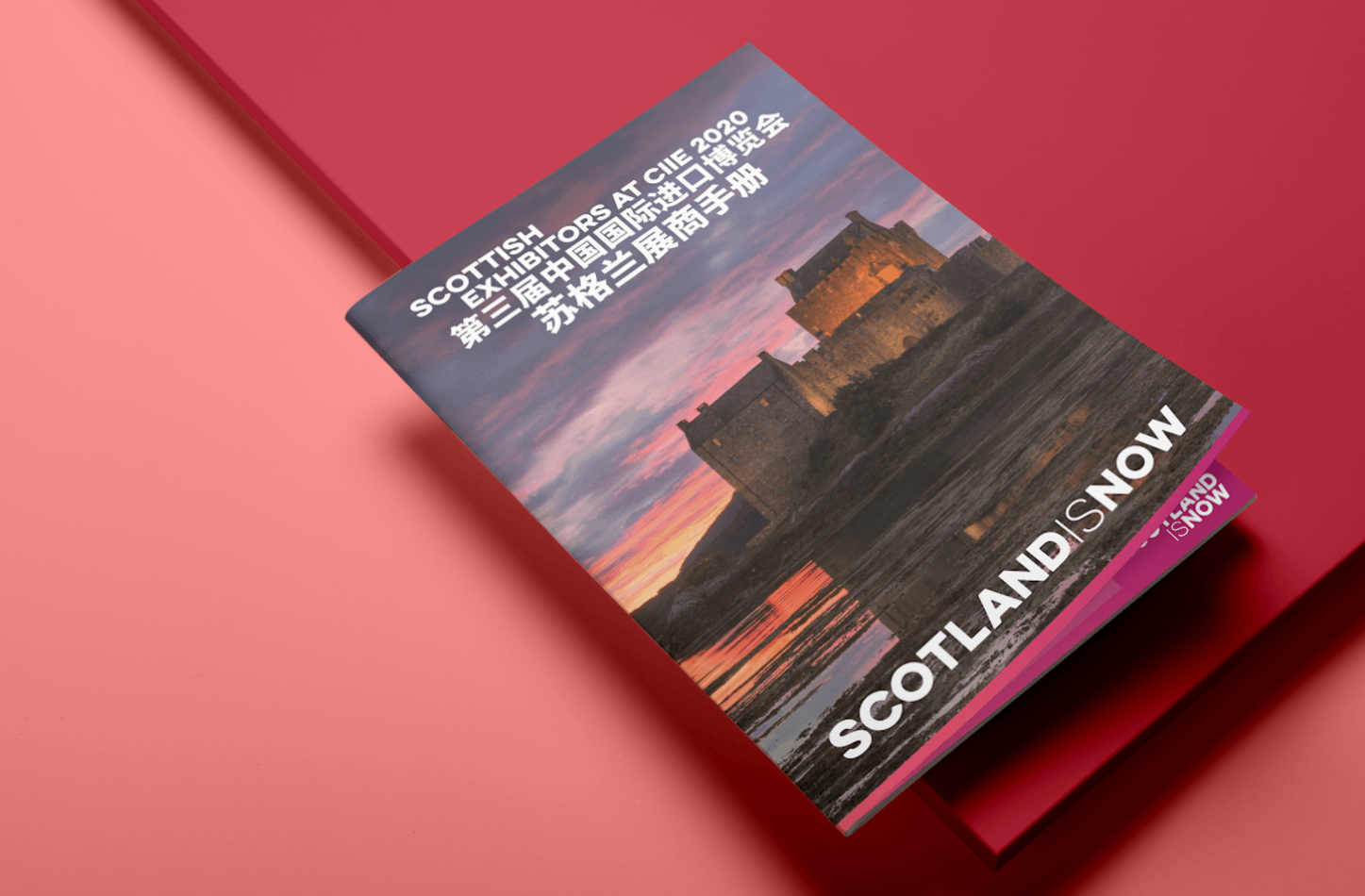 reinvent and recover