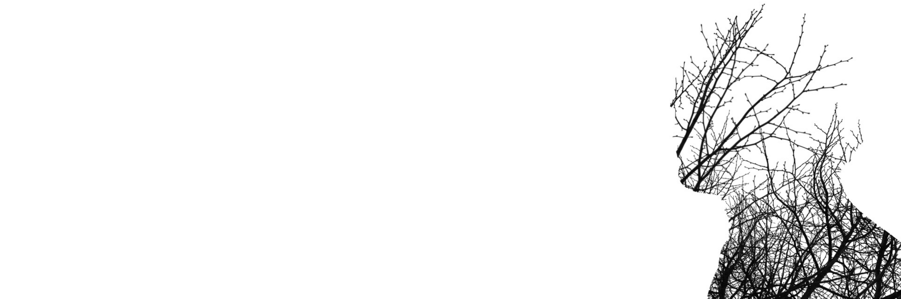 Source Canva LvNL from Getty Images