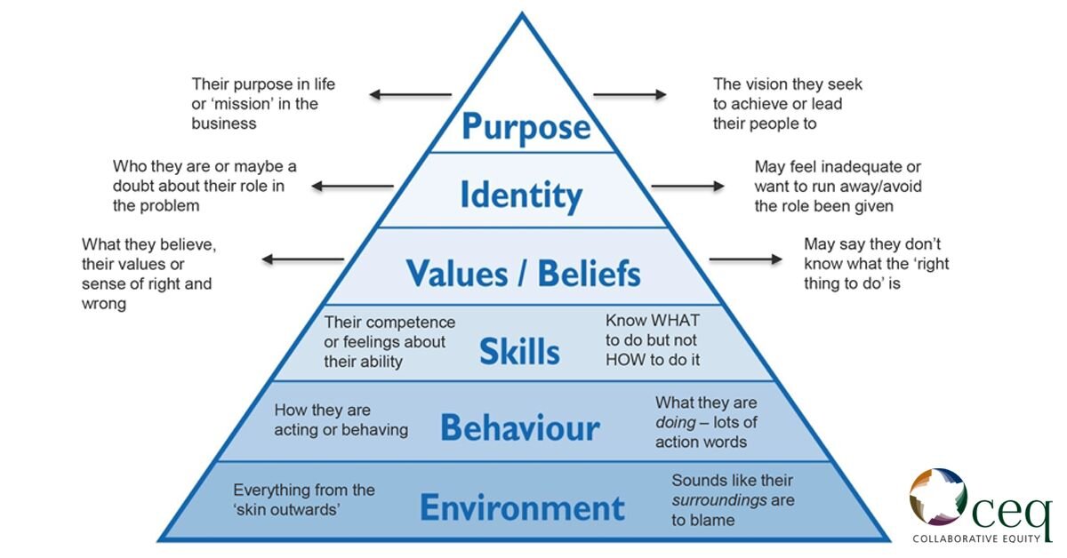 The Neurological Levels of Change