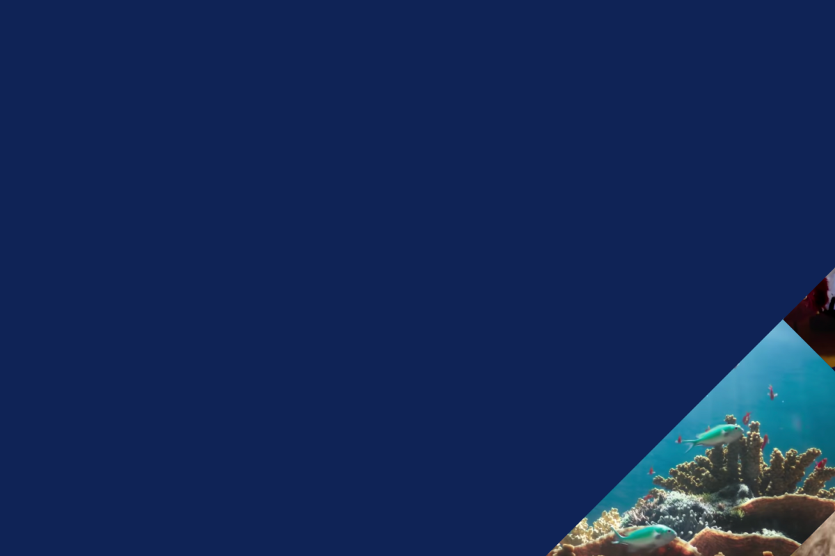 Transformation report