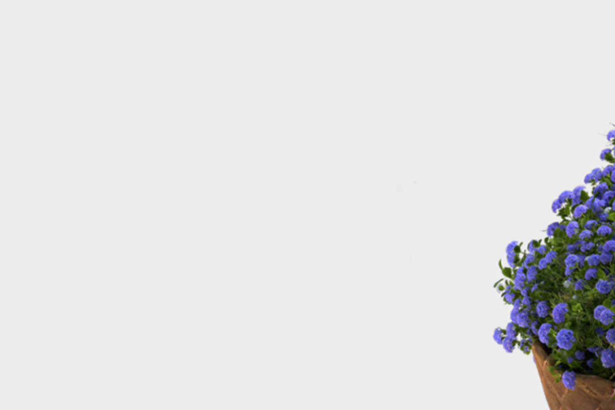 Source: Team Lewis Copyright Team Lewis