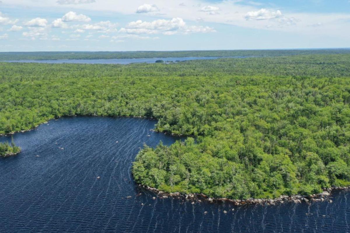 UAE June Membership Sustainability Campaign