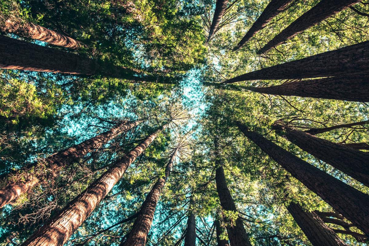 Photo by Casey Horner on Unsplash