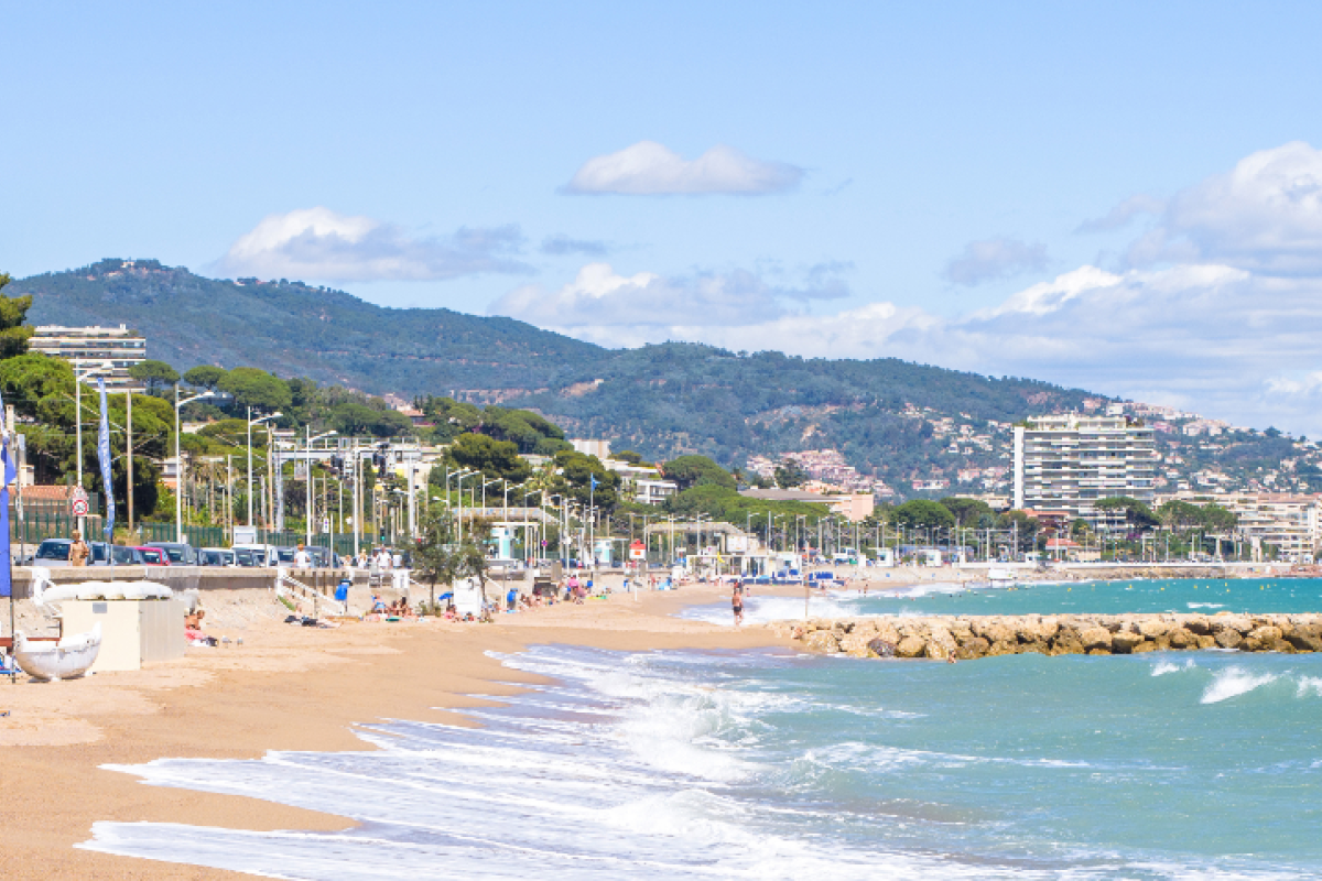 The Marketing Society Cannes