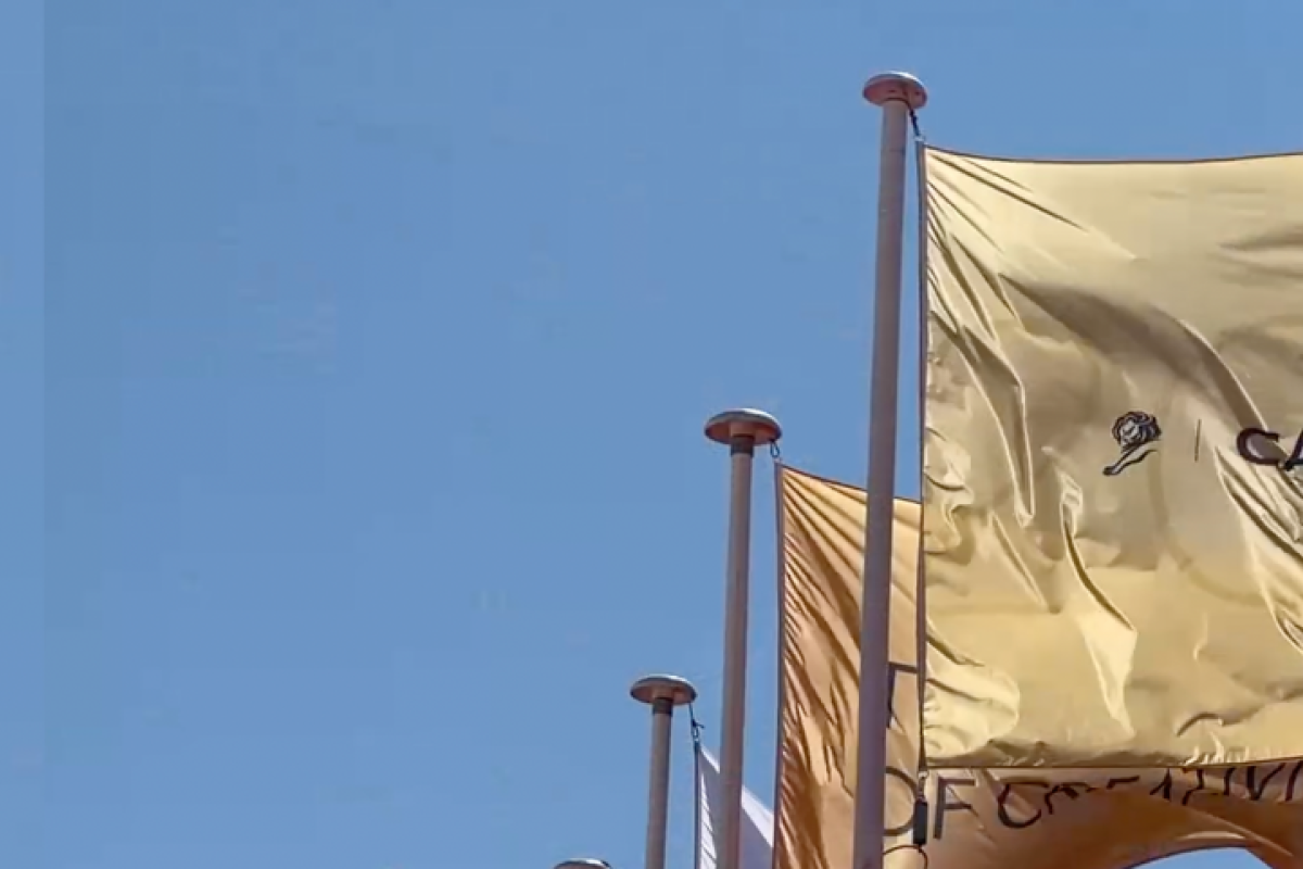 BCG at Cannes Lions (from video)