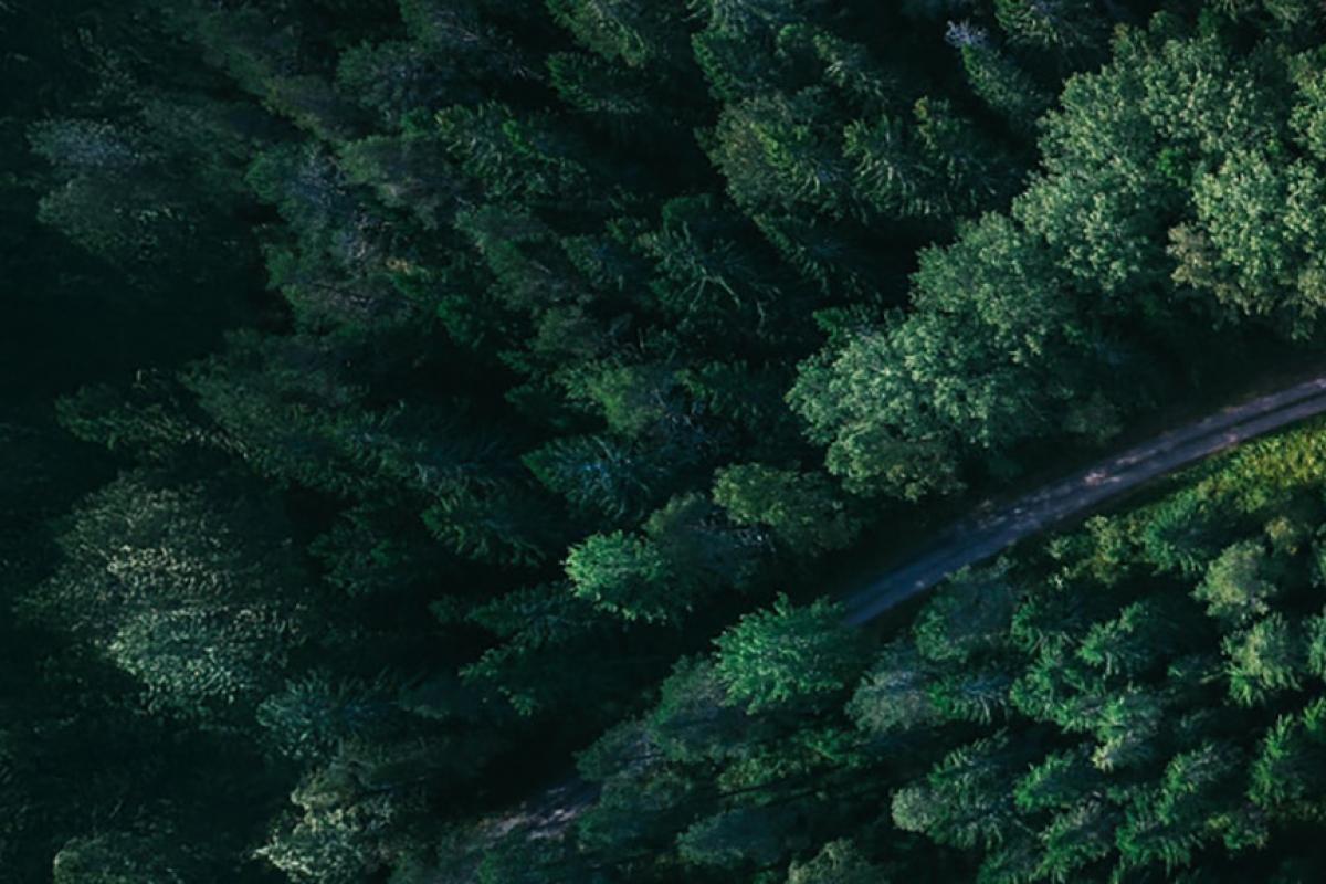 Design Bridge for The Marketing Society 