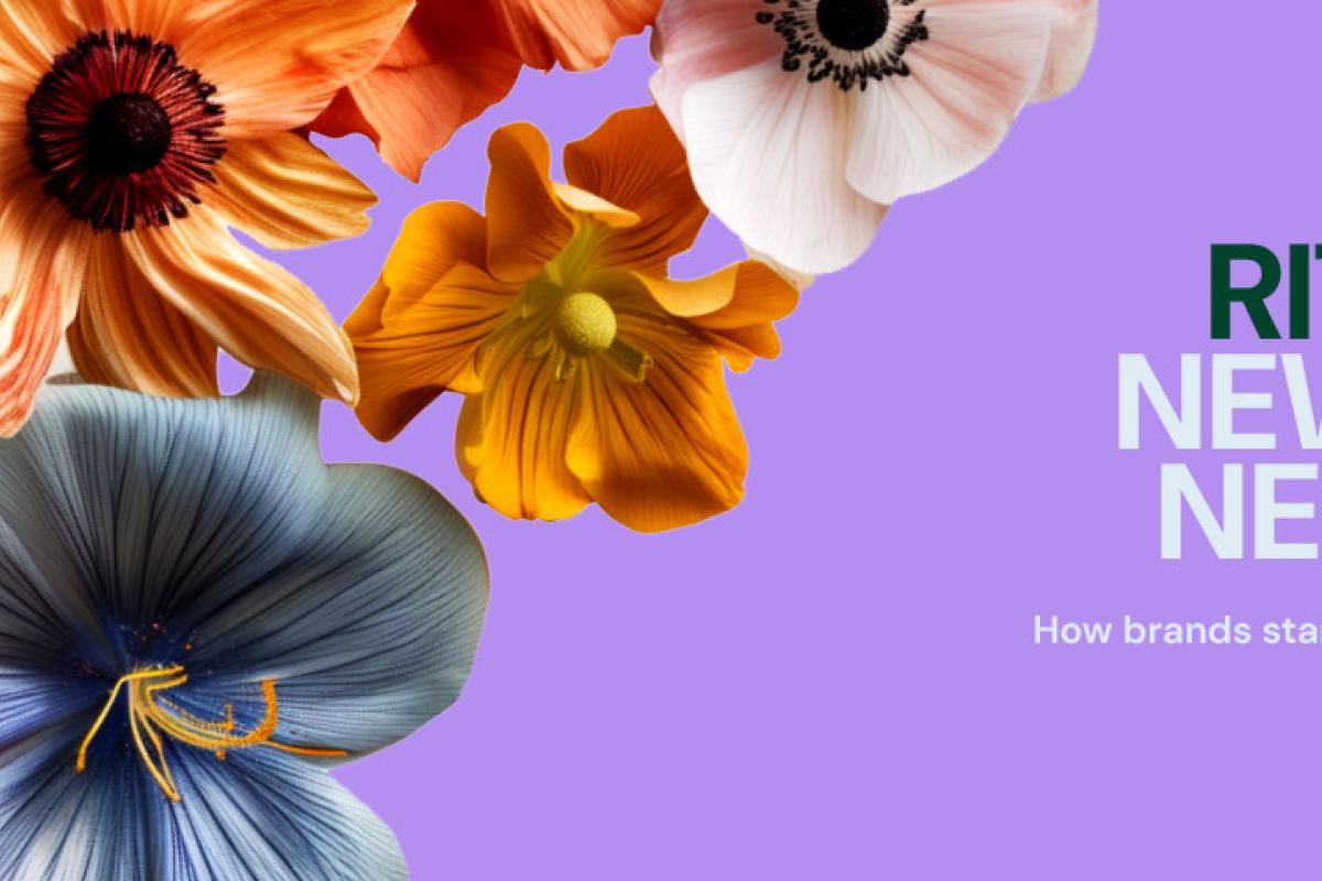 MSQ Rituals The Marketing Society 