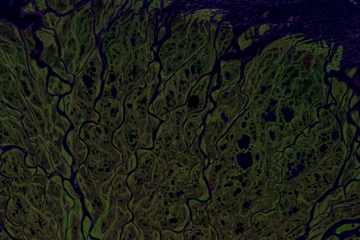 TwentyFirstCenturyBrand Purpose x Profit - approved image