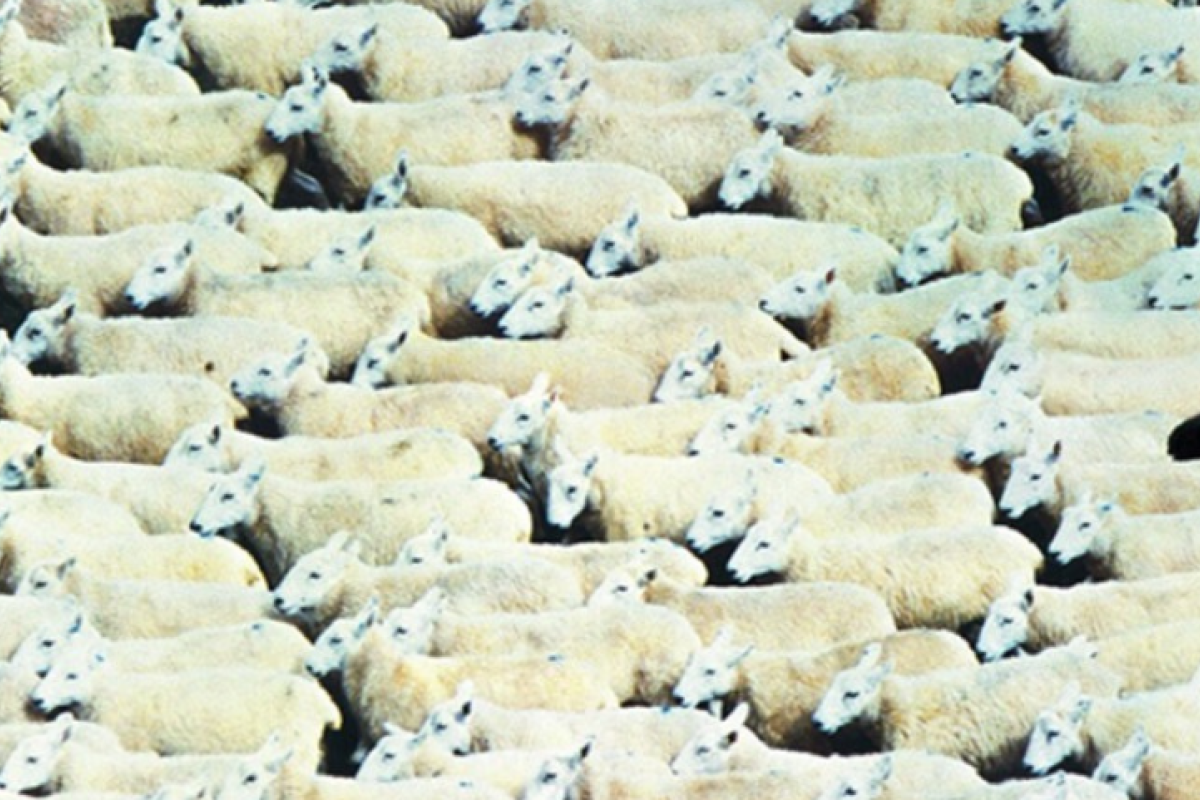 Publicis Event with The Marketing Society 