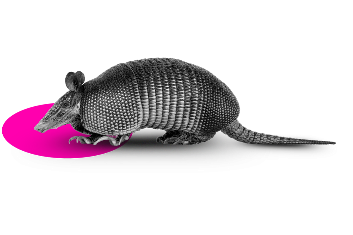 Accelerate: Armadillo