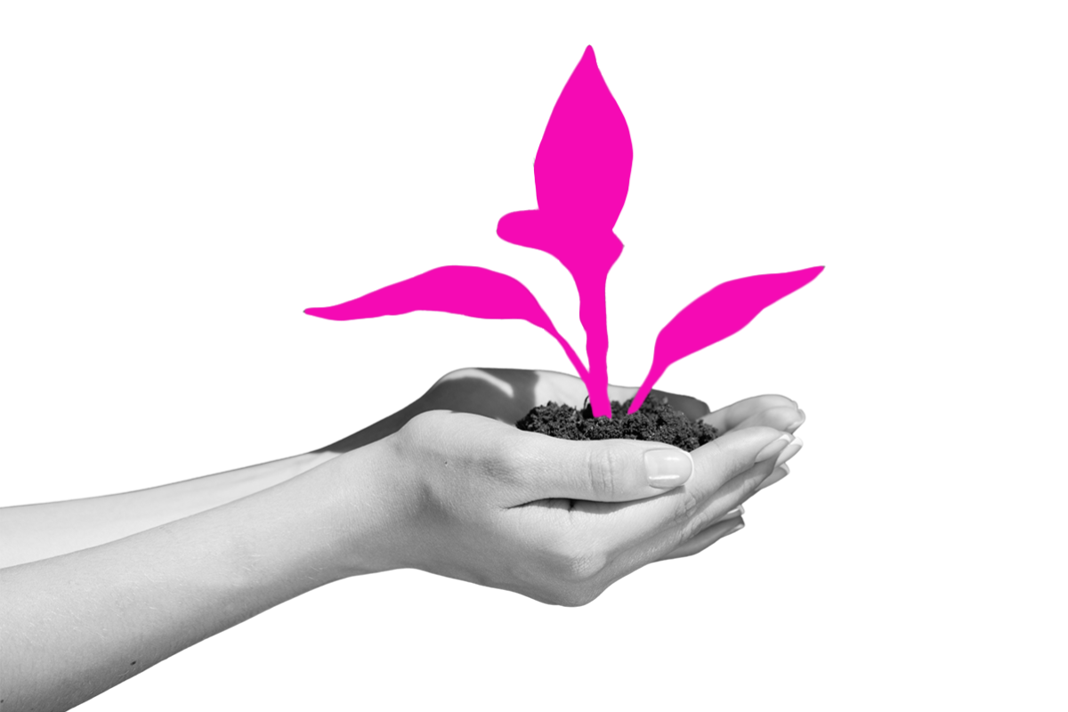 Holding a growing plant