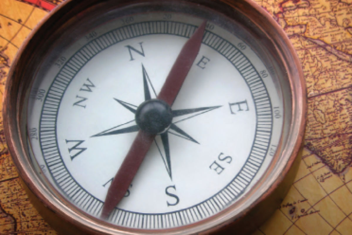 compass - Market Leader 2011