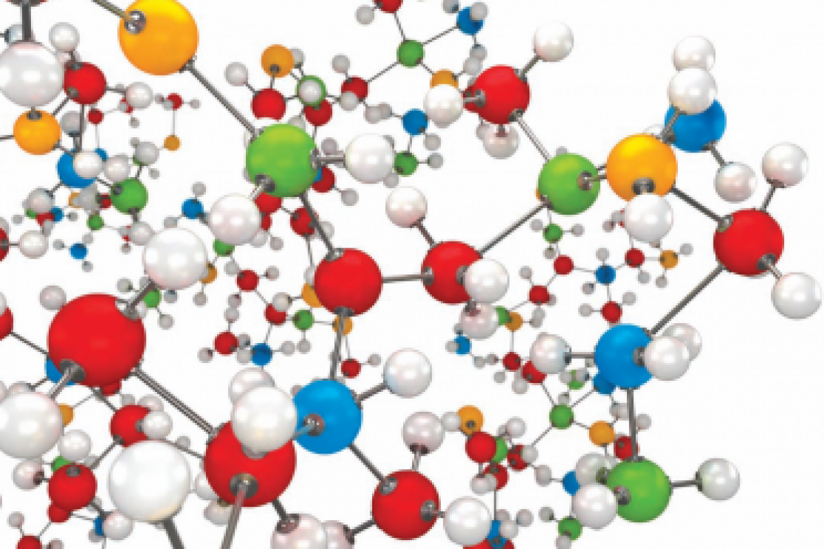 Colourful Molucles - Market Leader