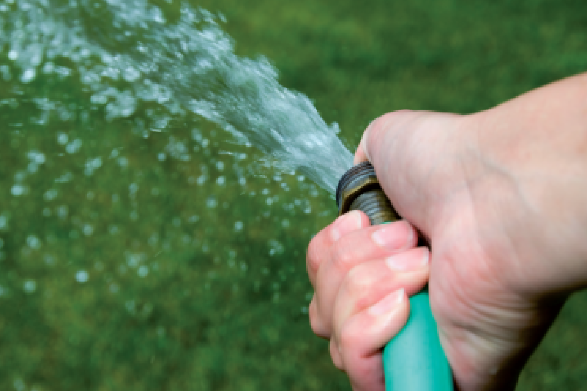 Market Leader January 2012