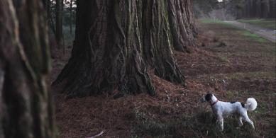 Nick Gordon Unsplash